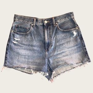 High Rise Denim Shorts
